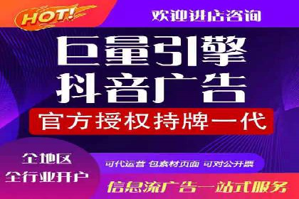 SEM主管实战：案例分析与优化策略