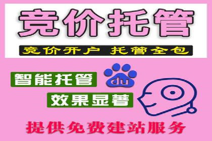 sem竞价代运营策略在移动端的成功应用案例